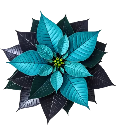 Imagen PNG para descargar